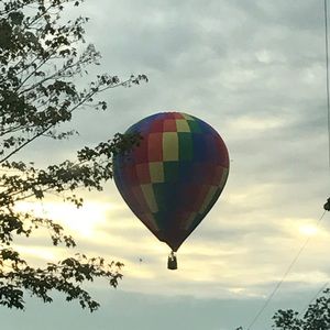 Meet your Posher, Tia